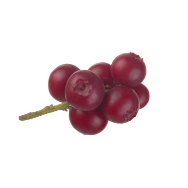beyaz arka plan üzerinde izole olgun cowberries, yakın çekim  