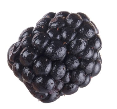 olgun tatlı böğürtlen beyaz arka plan izole, yakın çekim 