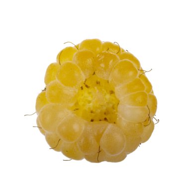 Olgun ahududu yakın çekim 