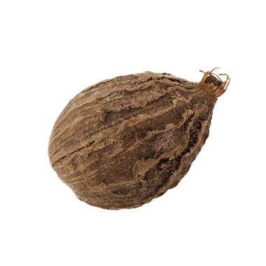 siyah cardamon tohumları, yakın çekim