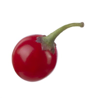 olgun dulcamara yakın