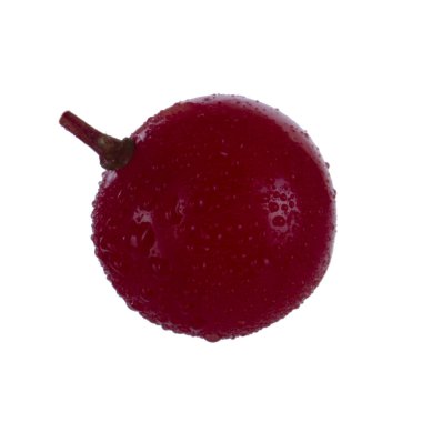 ok ağacı berry yakın 