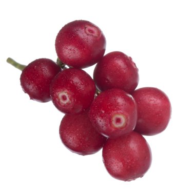 beyaz arka plan üzerinde izole olgun cowberries, yakın çekim  