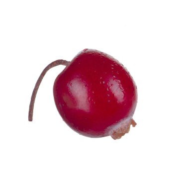 olgun kızılcık yakın 