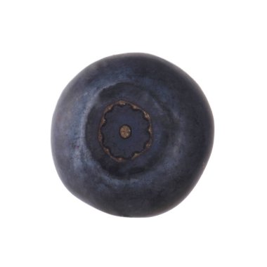 beyaz arka plan üzerinde izole olgun siyah bilberry 