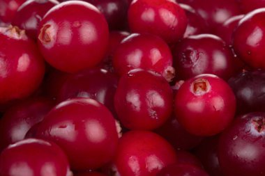 olgun kızılcık yakın 