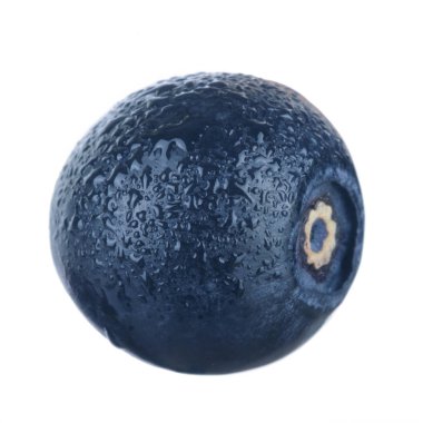 siyah böğürtlen beyaz arka plan üzerinde izole, yakın çekim