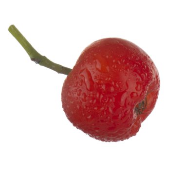 olgun ashberry yakın 