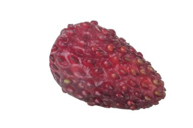 yabani çilek yakın çekim 