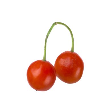 convallaria majalis yakın 