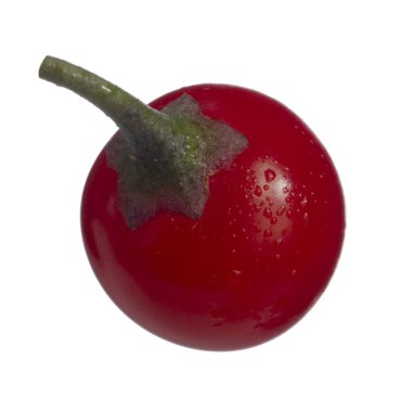 olgun dulcamara yakın