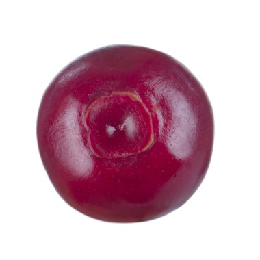 olgun bearberry yakın 