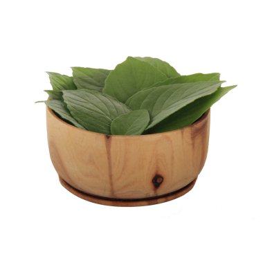 Arka planda, taze fesleğen yakın çekim