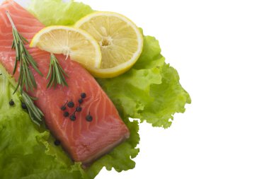 somon balığı yakın çekim 