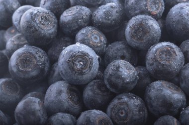 Olgun yaban mersinleri. Kapatın. 