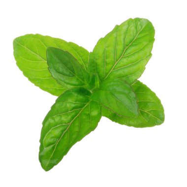 Beyaz arkaplanda izole edilmiş nane yaprakları