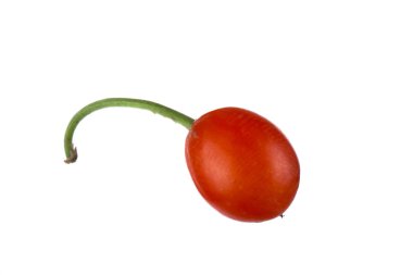 convallaria majalis yakın 