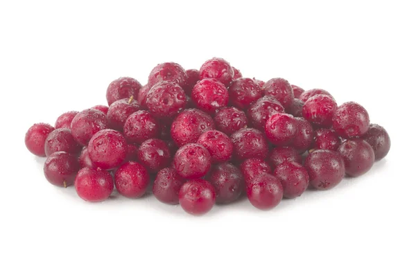 Ribes Maturo Vicino — Foto Stock