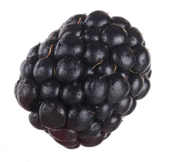 olgun tatlı böğürtlen beyaz arka plan izole, yakın çekim 