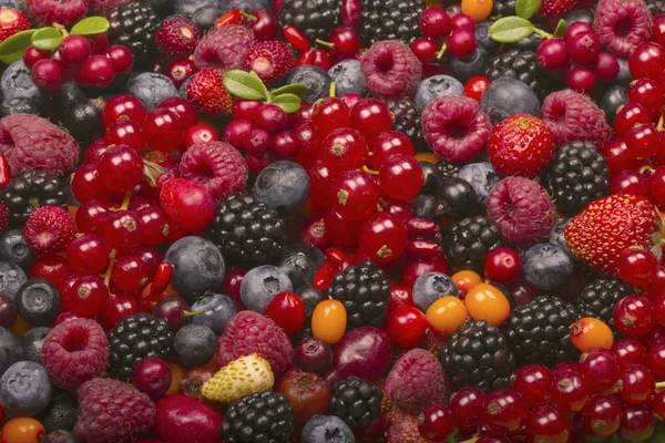 Delicious Berries Background Close — Stock Photo, Image