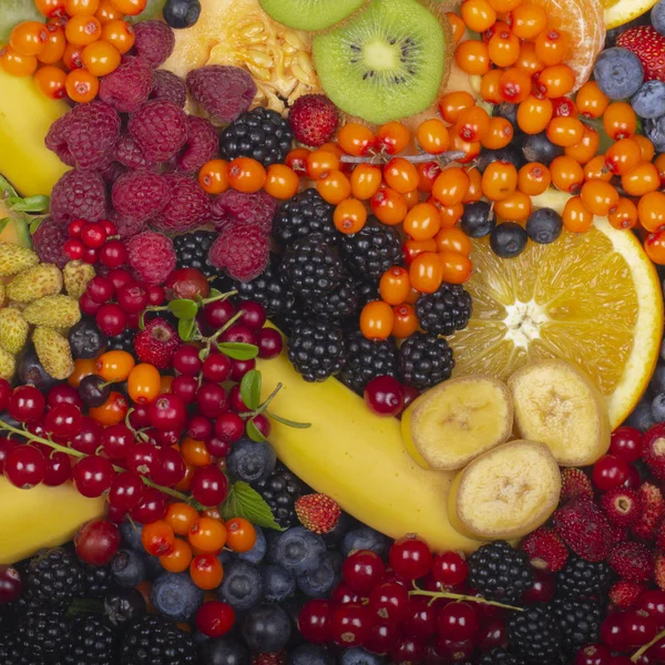 Melon Fruit Close — Stock Photo, Image