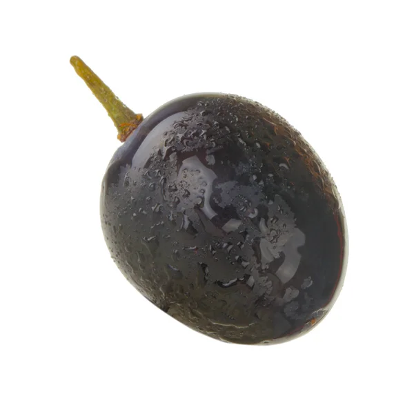 Ripe Grape Close — Stock Photo, Image