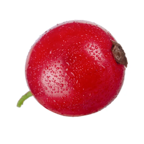 Johannisbeeren Aus Nächster Nähe — Stockfoto