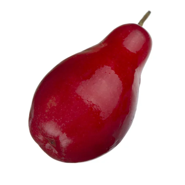 Obecný Cherry Zavřít — Stock fotografie