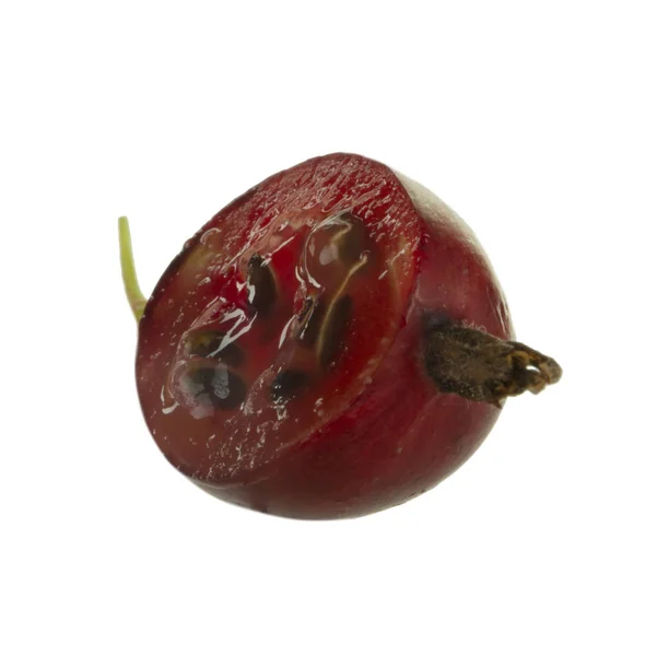 Gooseberry Matang Menutup — Stok Foto