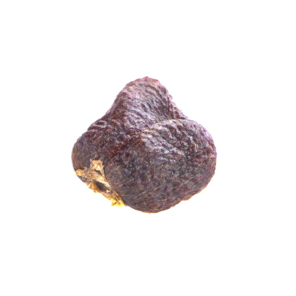 Semi Cardamomo Nero Colpo Vicino — Foto Stock