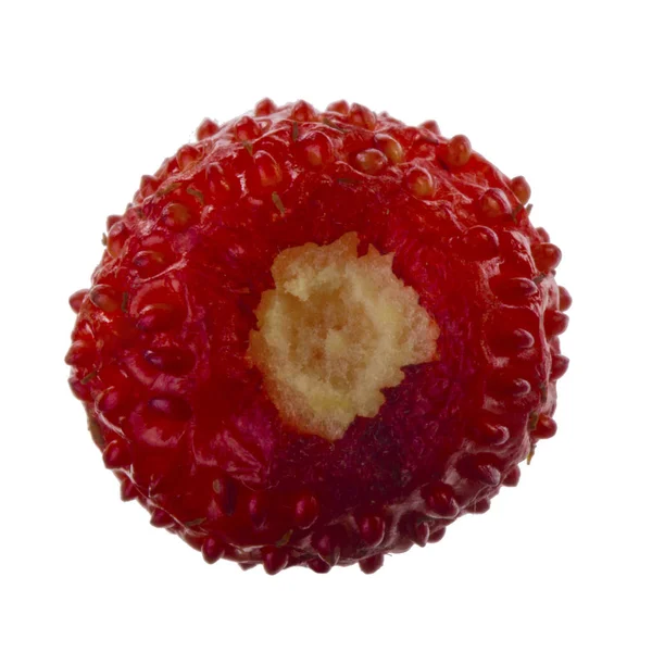 yabani çilek yakın çekim 