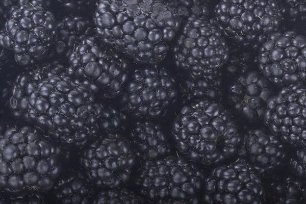 Pile Blackberries Close Shot — Stock Photo, Image