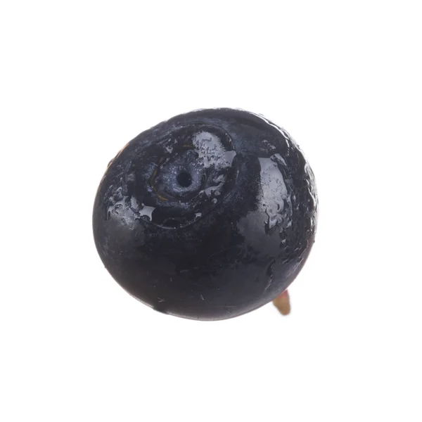 Ώριμο Μαύρο Bilberry Απομονώνεται Λευκό Φόντο — Φωτογραφία Αρχείου