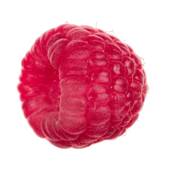 Olgun ahududu yakın çekim 