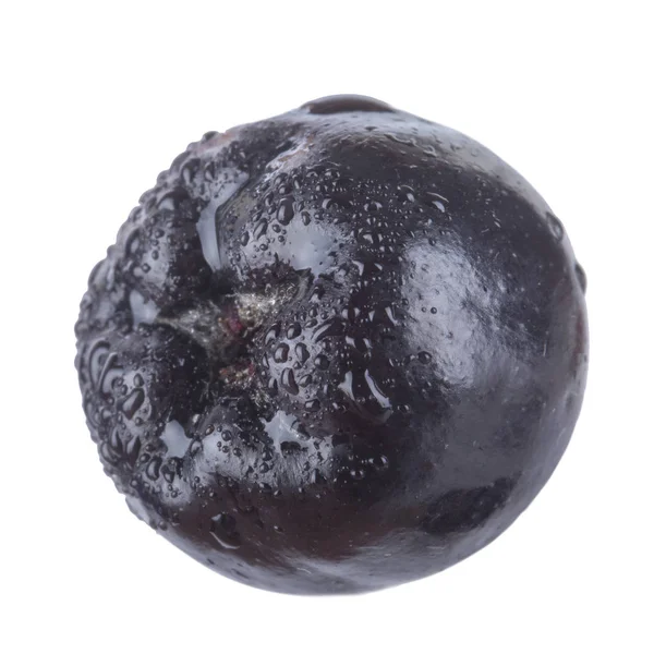 olgun ashberry yakın 