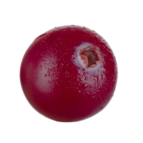 Rijpe Cranberry Close — Stockfoto