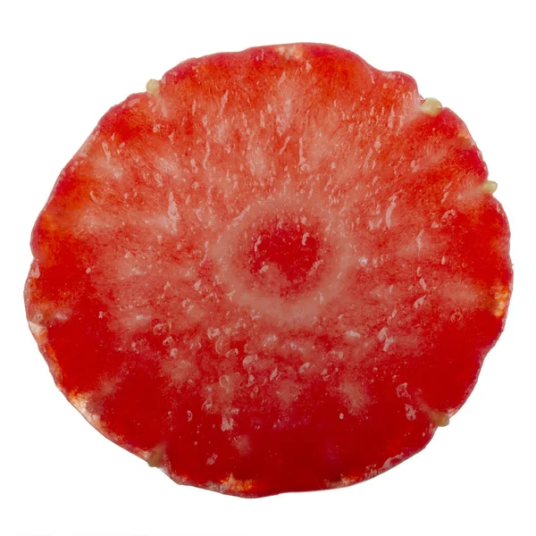 yabani çilek yakın çekim 