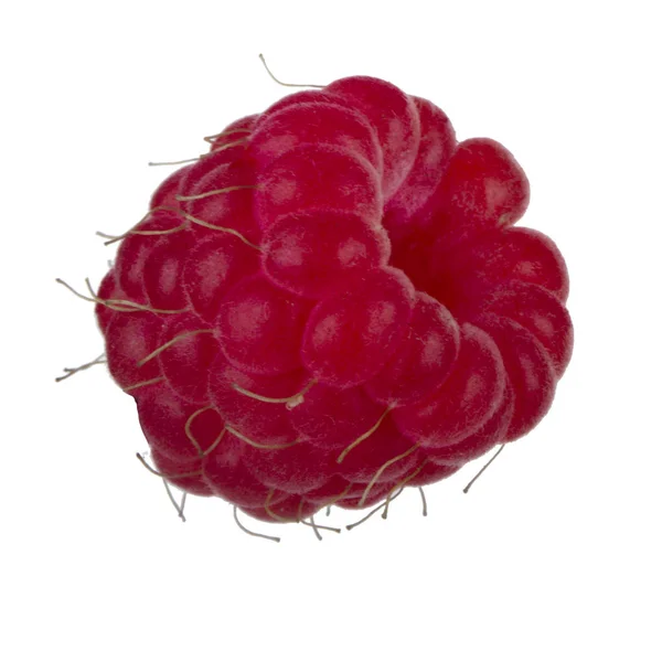 Reife Himbeeren Aus Nächster Nähe — Stockfoto