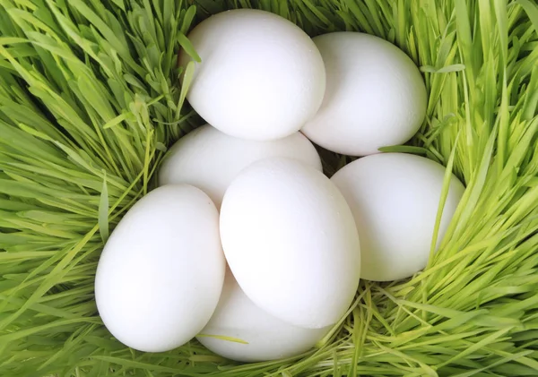 yumurta yakın çekim 