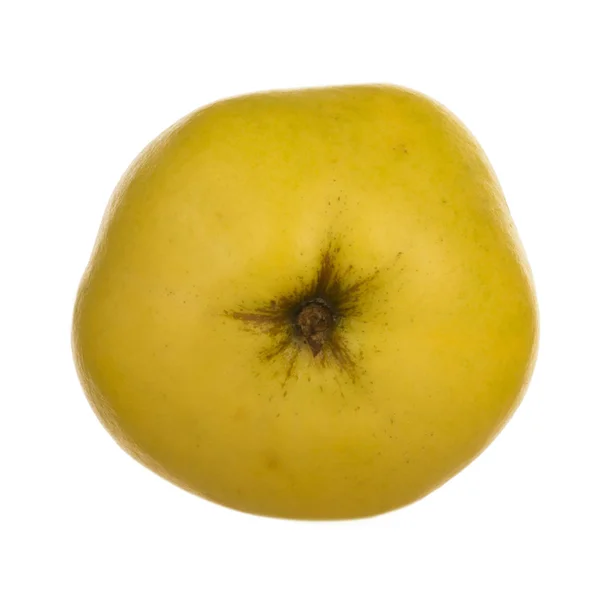 Mogen Äpple Närbild — Stockfoto