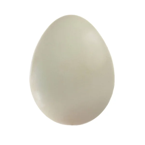 Закрыть Яйцо — стоковое фото