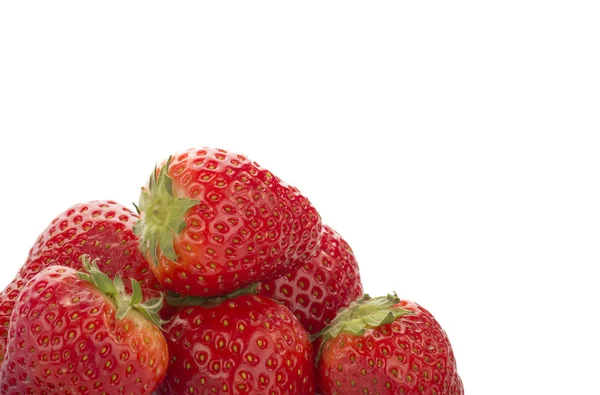 Wild Strawberry Close — Stock Photo, Image