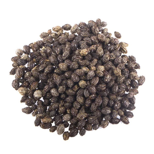 Семена Папайи Изолированные Белом Фоне — стоковое фото