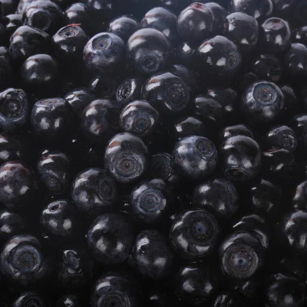 Ripe Black Bilberries Background Close View — Stock Photo, Image