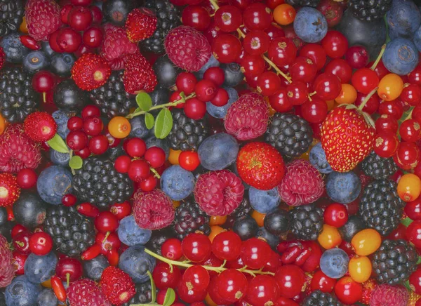 Köstliche Beeren Hintergrund Nahaufnahme — Stockfoto