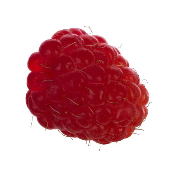 Ripe Raspberry Close — Stock Photo, Image