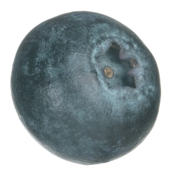 Olgun yaban mersinleri. Kapatın. 