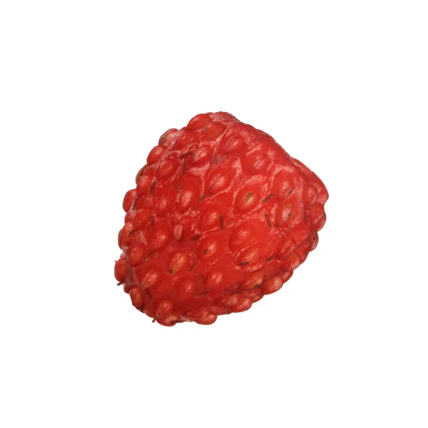 Căpșuni Sălbatice Aproape — Fotografie, imagine de stoc