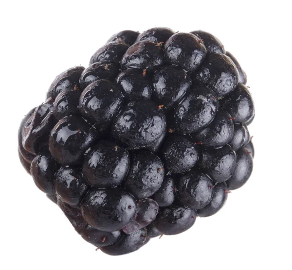 olgun tatlı böğürtlen beyaz arka plan izole, yakın çekim 