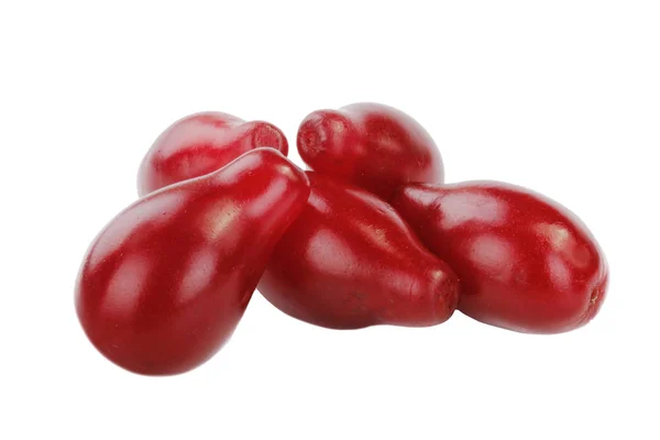 Obecný Cherry Zavřít — Stock fotografie